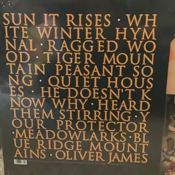 Fleet Foxes Vinyl LP (2008) SubPop Records - Picture 2 of 2